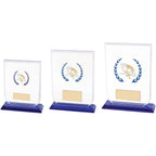 Gladiator Pool Snooker Glass Award