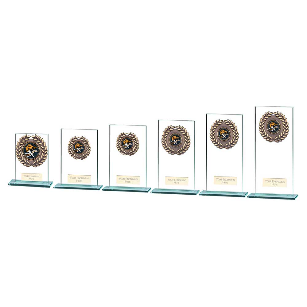 Warrior Multisport Jade Glass Award