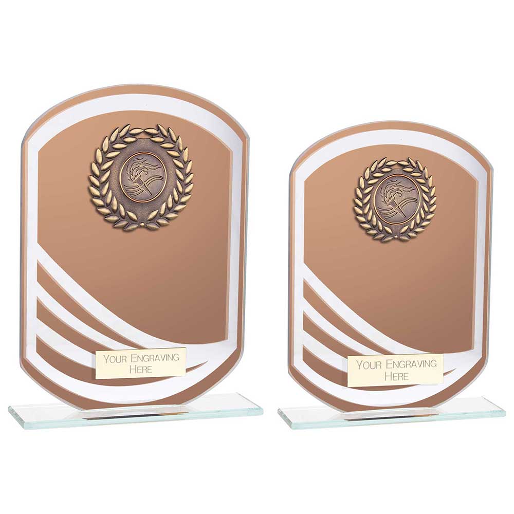 Argon Multisport Glass Award Bronze