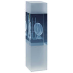 Arctic Blast Rugby Crystal Award - 190mm