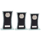 Eternal Multisport Glass Award