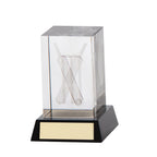 Conquest Cricket 3D Crystal Award - 90mm