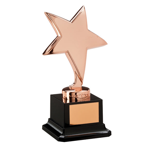 The Challenger Star Bronze Award - 165mm