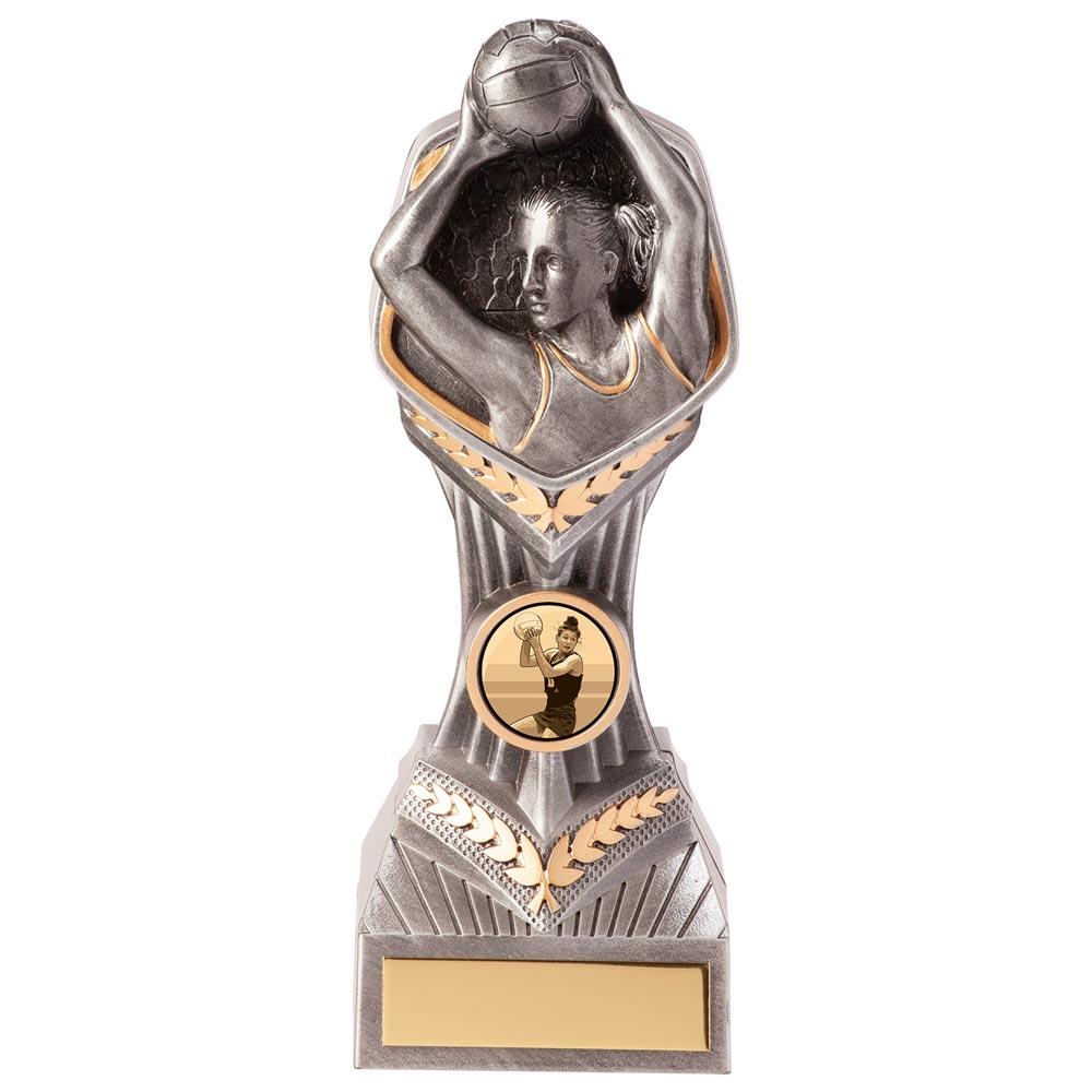 Falcon Netball Player Award - 180mm