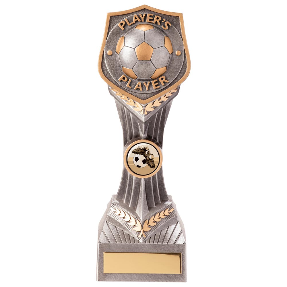 Falcon Football Player's Player Award - 210mm