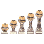 Falcon School Reading Award