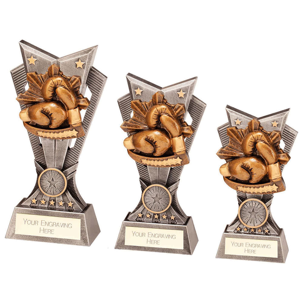 Spectre Boxing Award