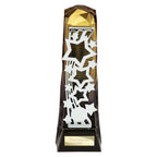 Shard Achievement Award