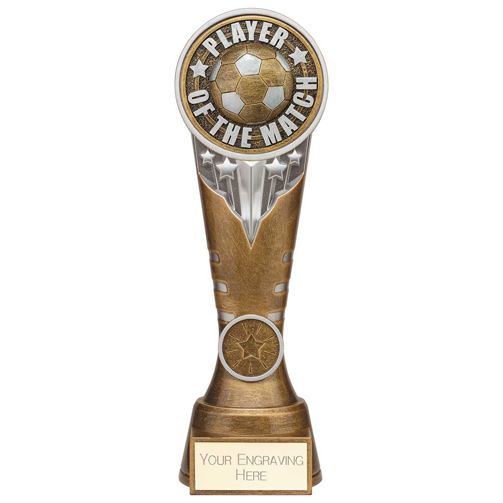 Ikon Tower Player of the Match Award - 225mm
