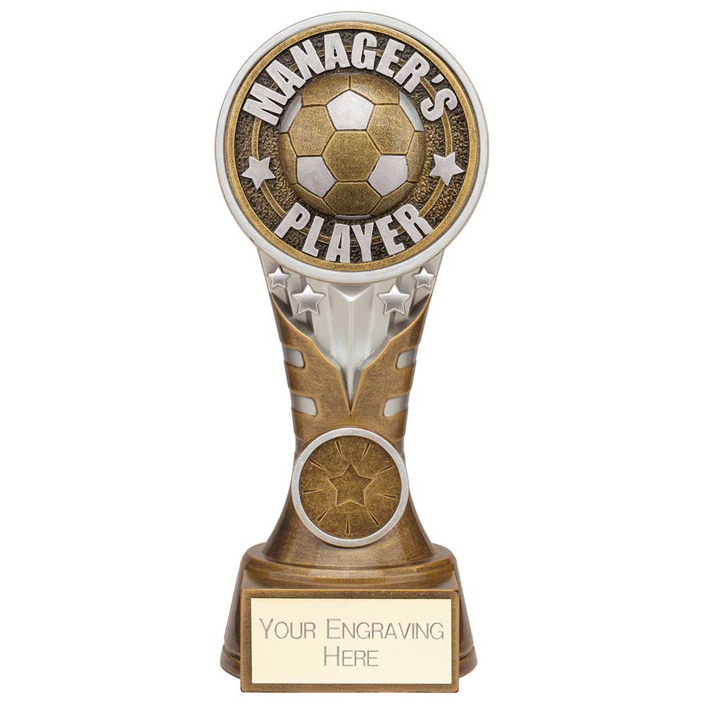 Ikon Tower Managers Player Award - 175mm