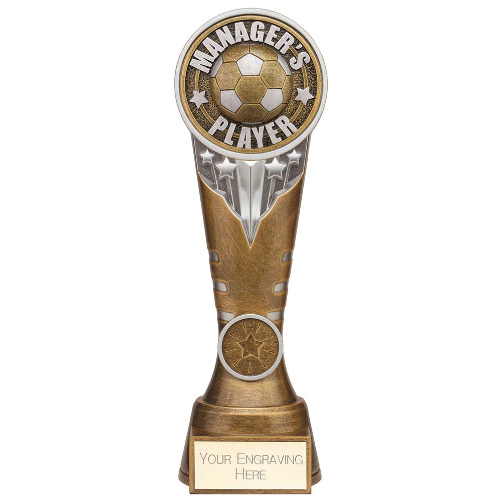 Ikon Tower Managers Player Award - 225mm