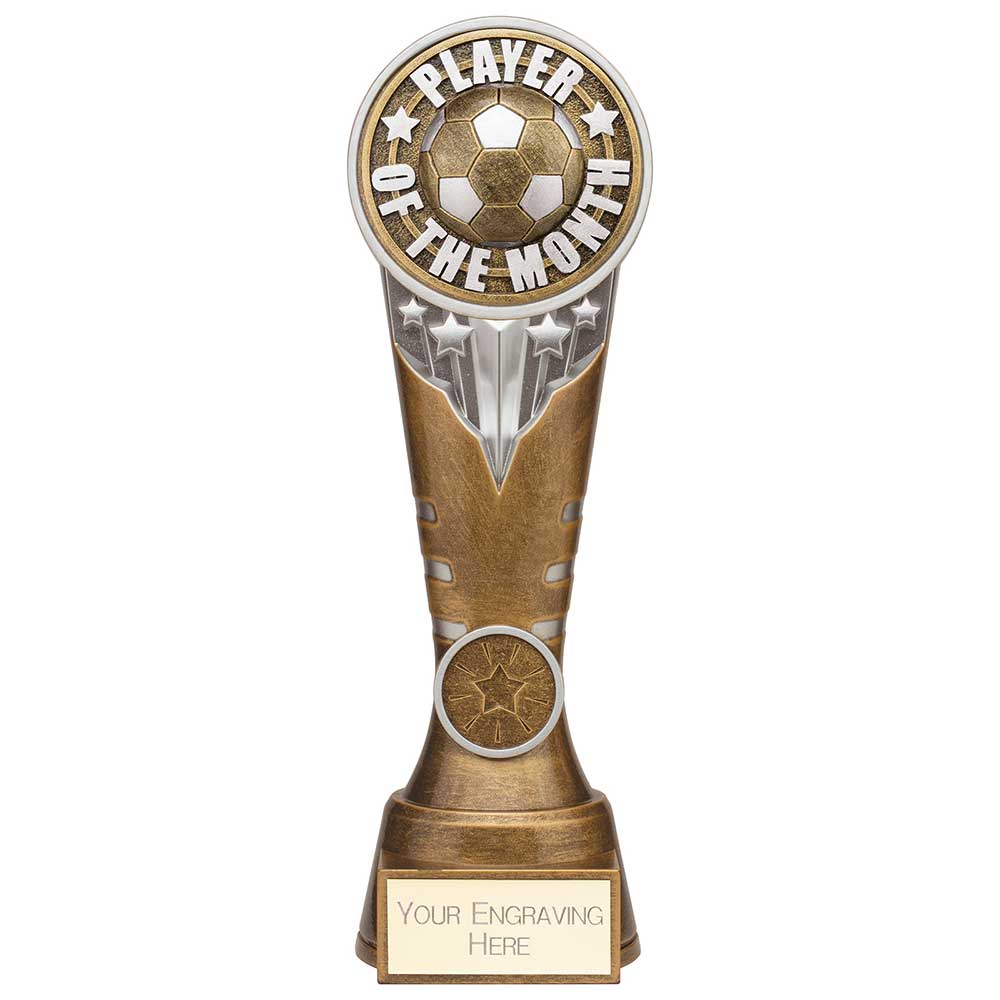 Ikon Tower Player of the Month Award - 225mm