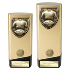 Prime Cobra Football Shirt & Ball Award