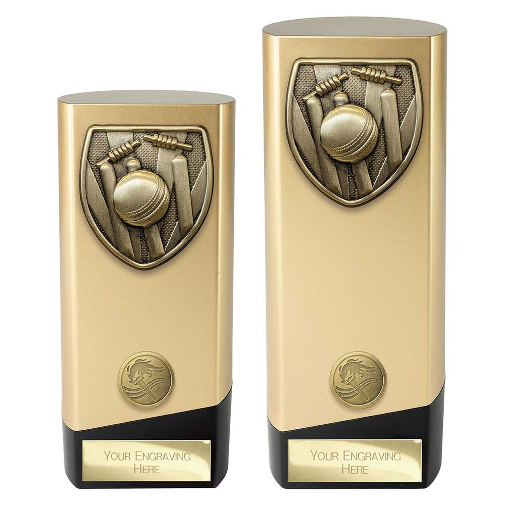 Prime Cobra Cricket Award