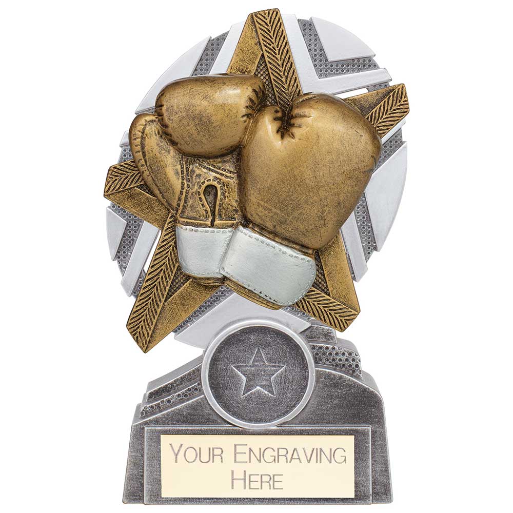 The Stars Boxing Plaque Award - 130mm
