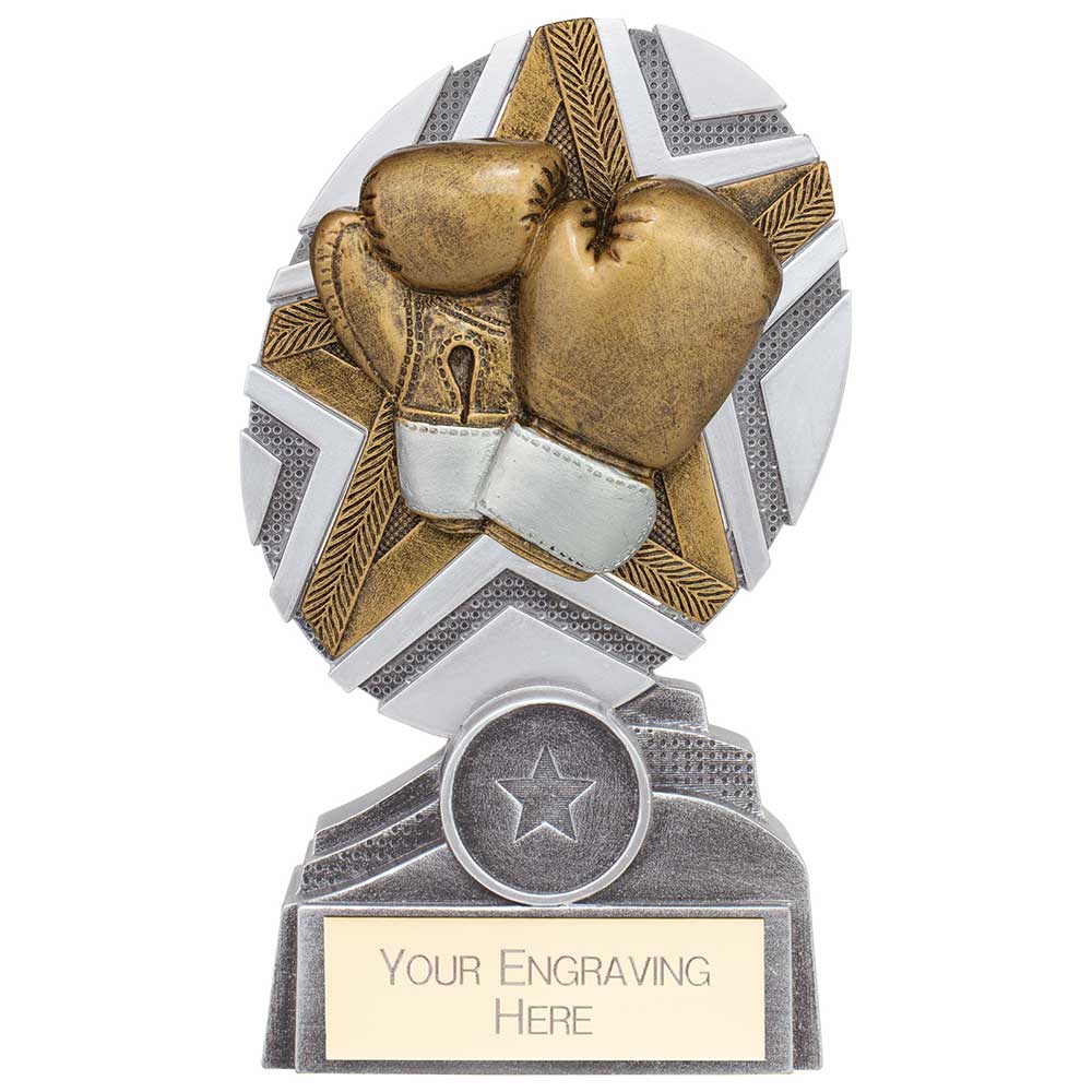 The Stars Boxing Plaque Award - 150mm