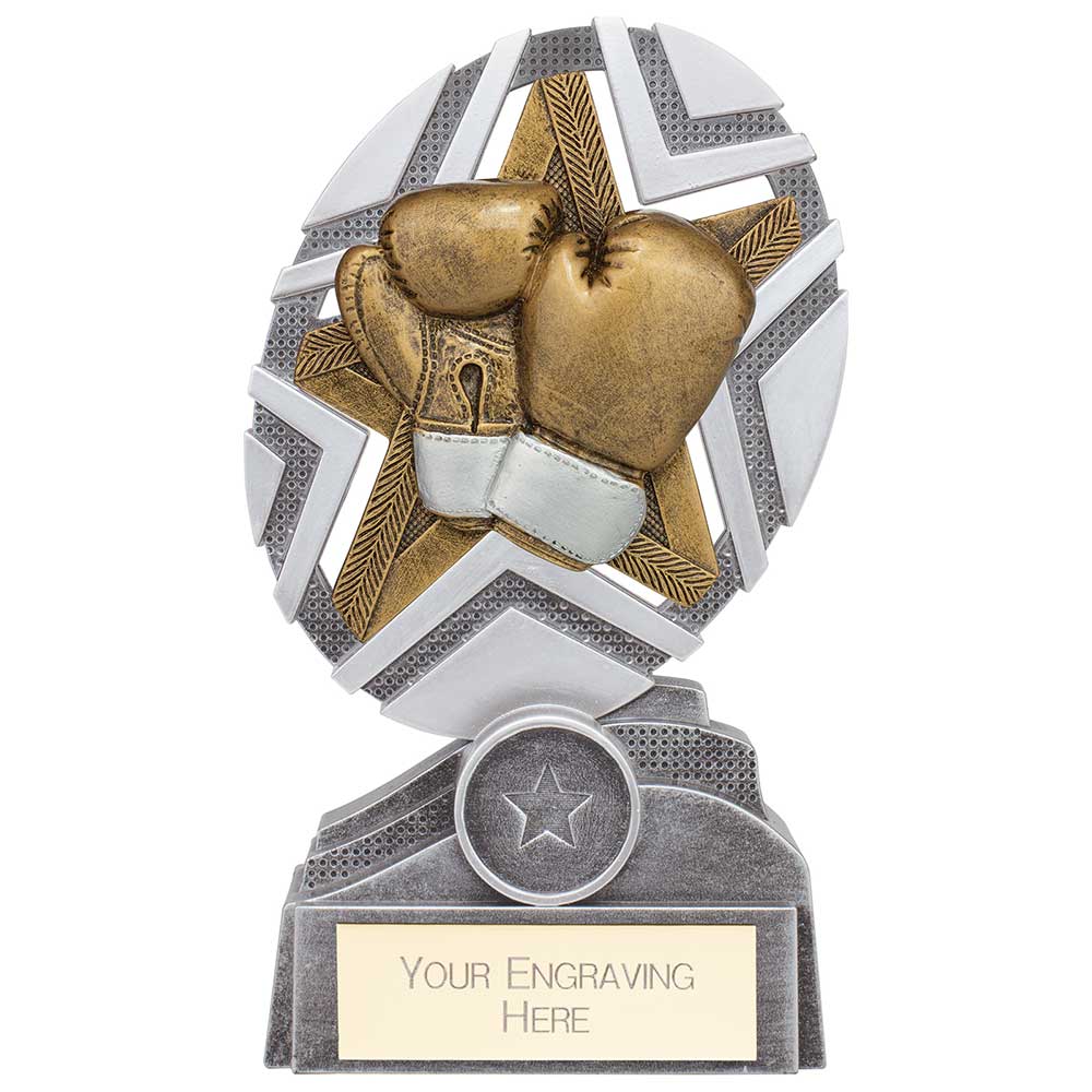 The Stars Boxing Plaque Award - 170mm