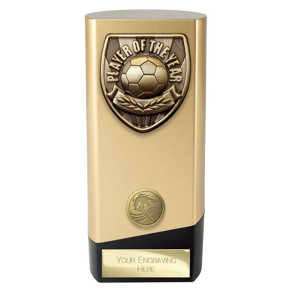 Prime Cobra Player of Year Award - 160mm