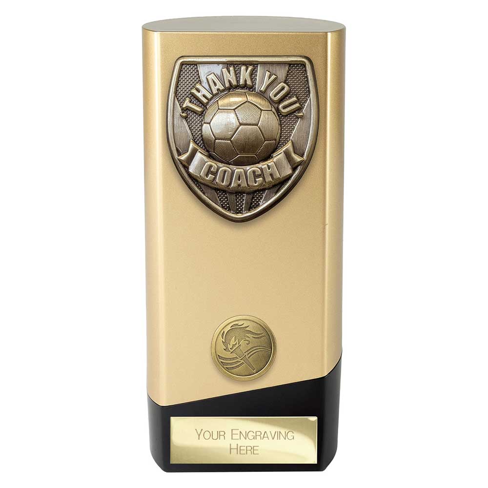 Prime Cobra Thank you Coach Award - 161mm