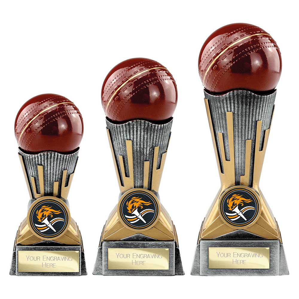Digital Cricket Award
