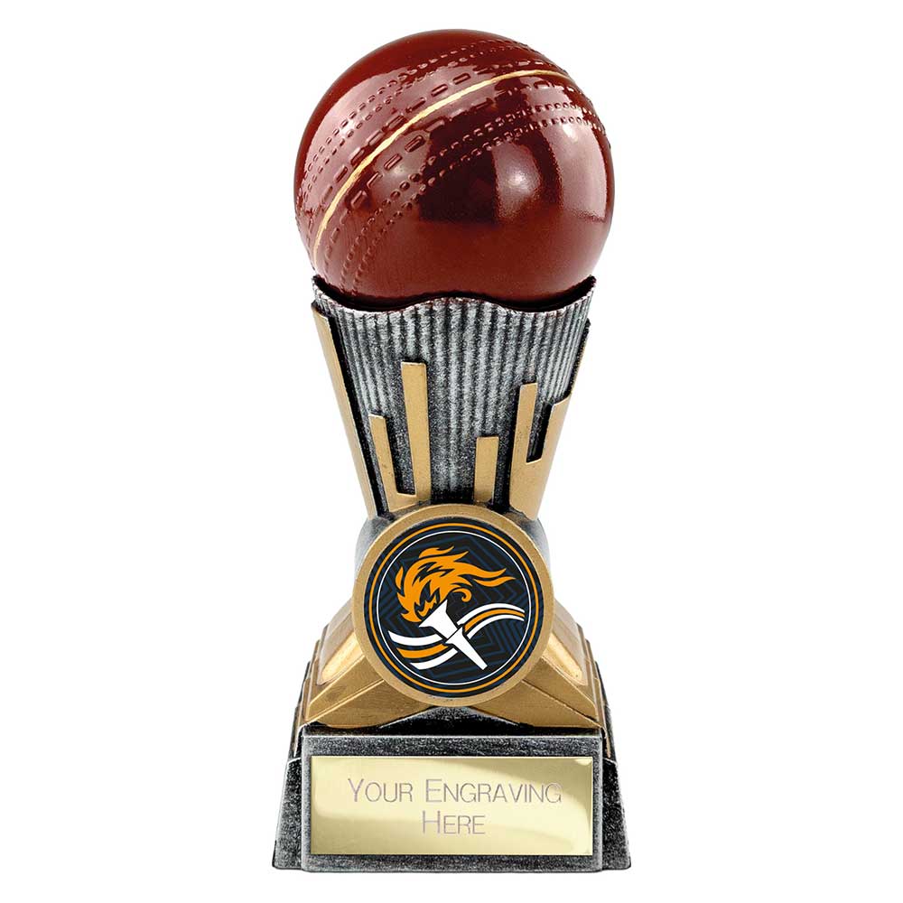 Digital Cricket Award - 125mm