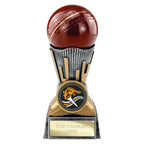 Digital Cricket Award - 125mm