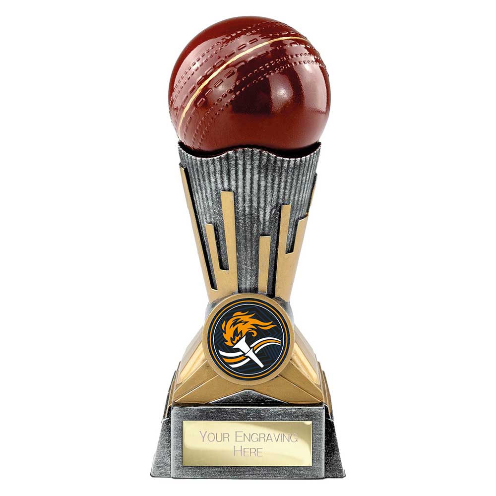 Digital Cricket Award - 150mm