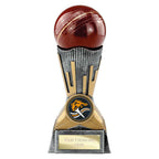 Digital Cricket Award - 150mm