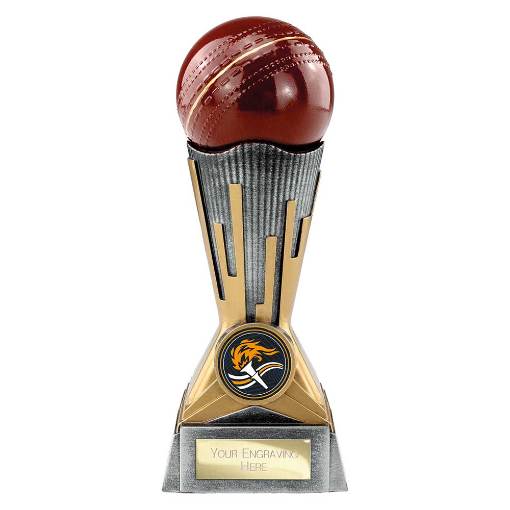Digital Cricket Award - 175mm