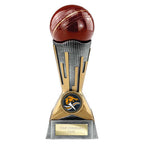 Digital Cricket Award - 175mm