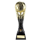 The Winning Goal Football Award - 290mm