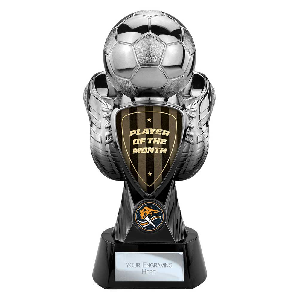 Tournament Heavyweight Player of Month - 245mm
