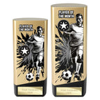 Prime Heavyweight Player of the Month