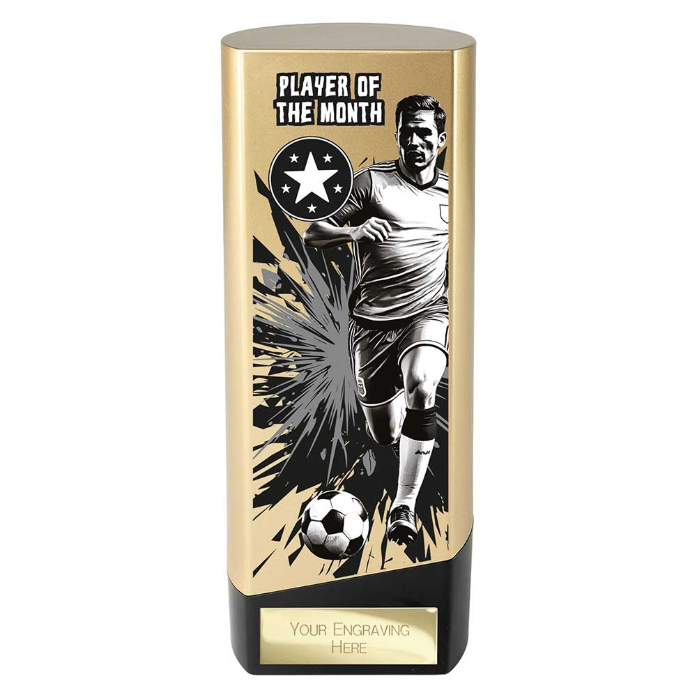 Prime Heavyweight Player of the Month - 190mm