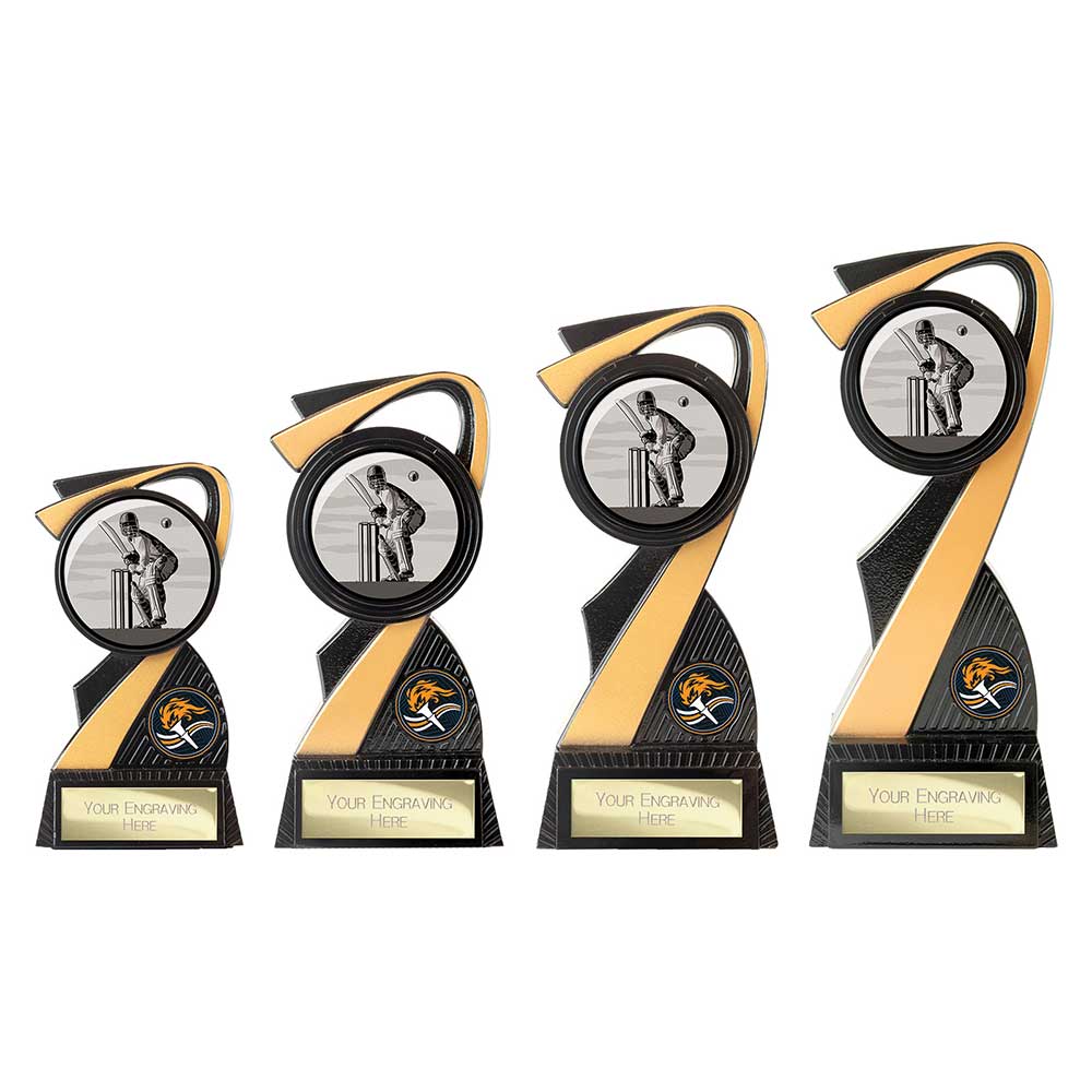 Mania Tower Cricket Award