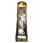 Shard Football Female Player of Match - 230mm