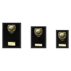 Cobra Plaque Basketball Award