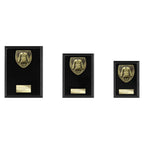 Cobra Plaque Martial Arts Gee Award