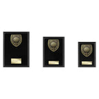 Cobra Plaque Golf Nearest the Pin Award