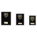 Cobra Plaque Golf Longest Drive Award