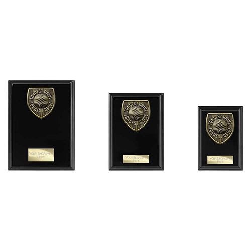 Cobra Plaque Golf Longest Drive Award