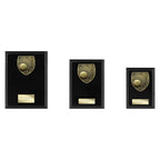 Cobra Plaque Tennis Award