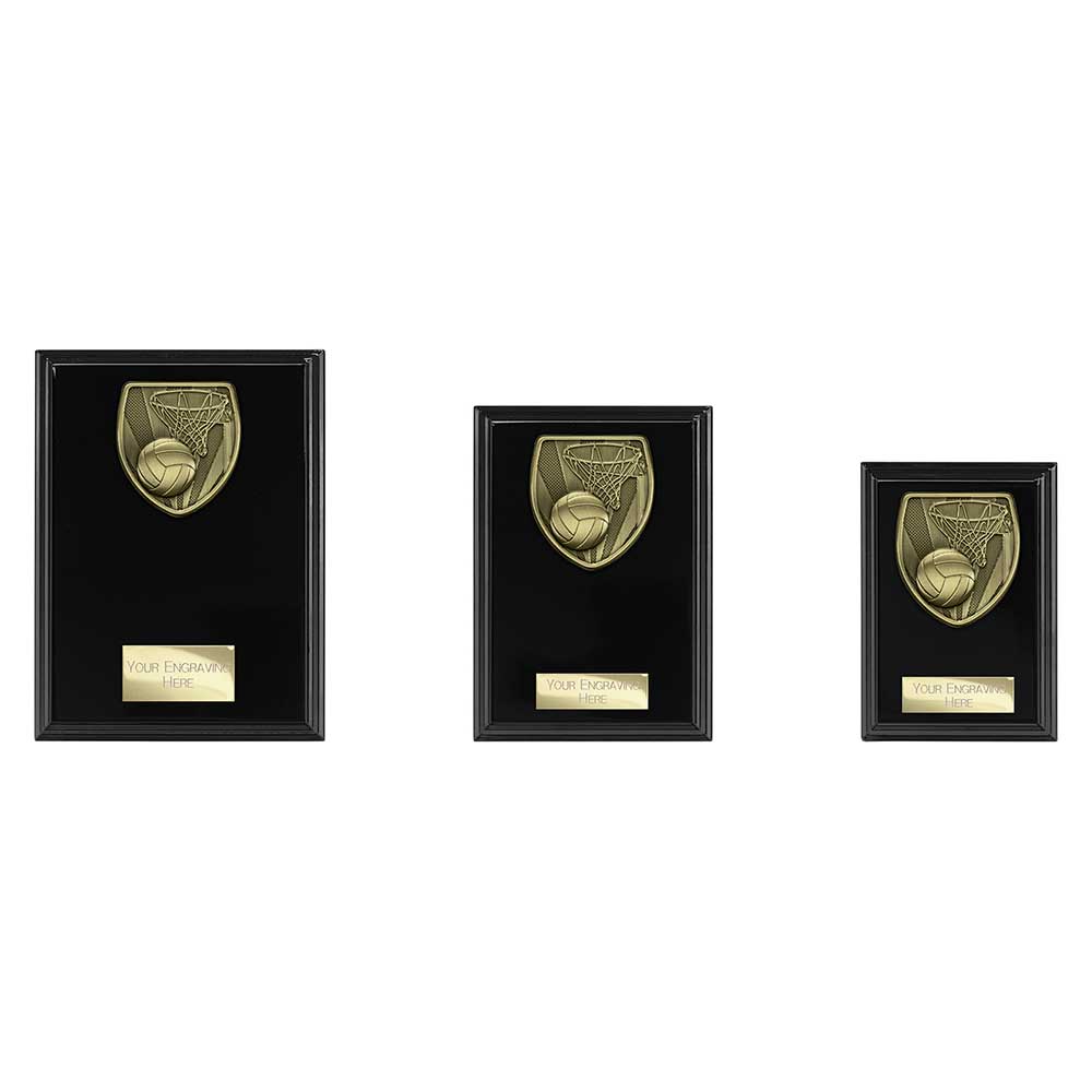 Cobra Plaque Netball Award