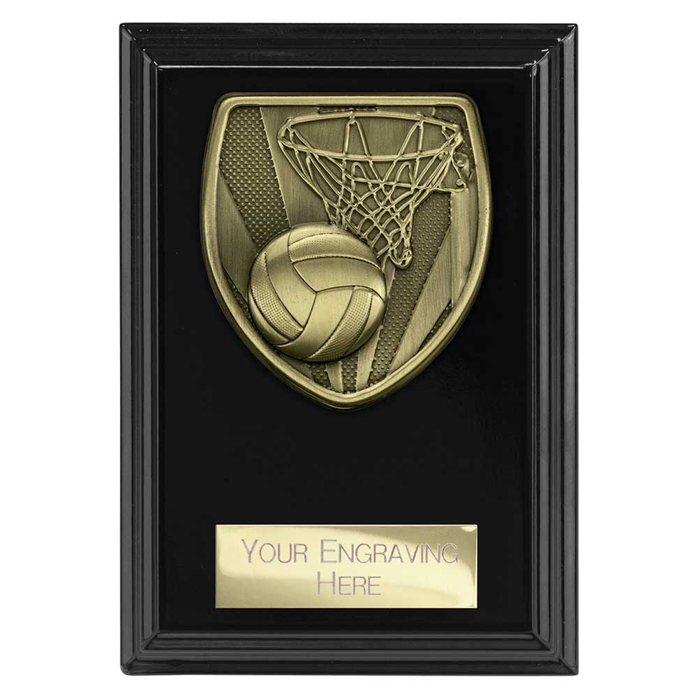 Cobra Plaque Netball Award - 125mm