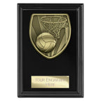 Cobra Plaque Netball Award - 125mm