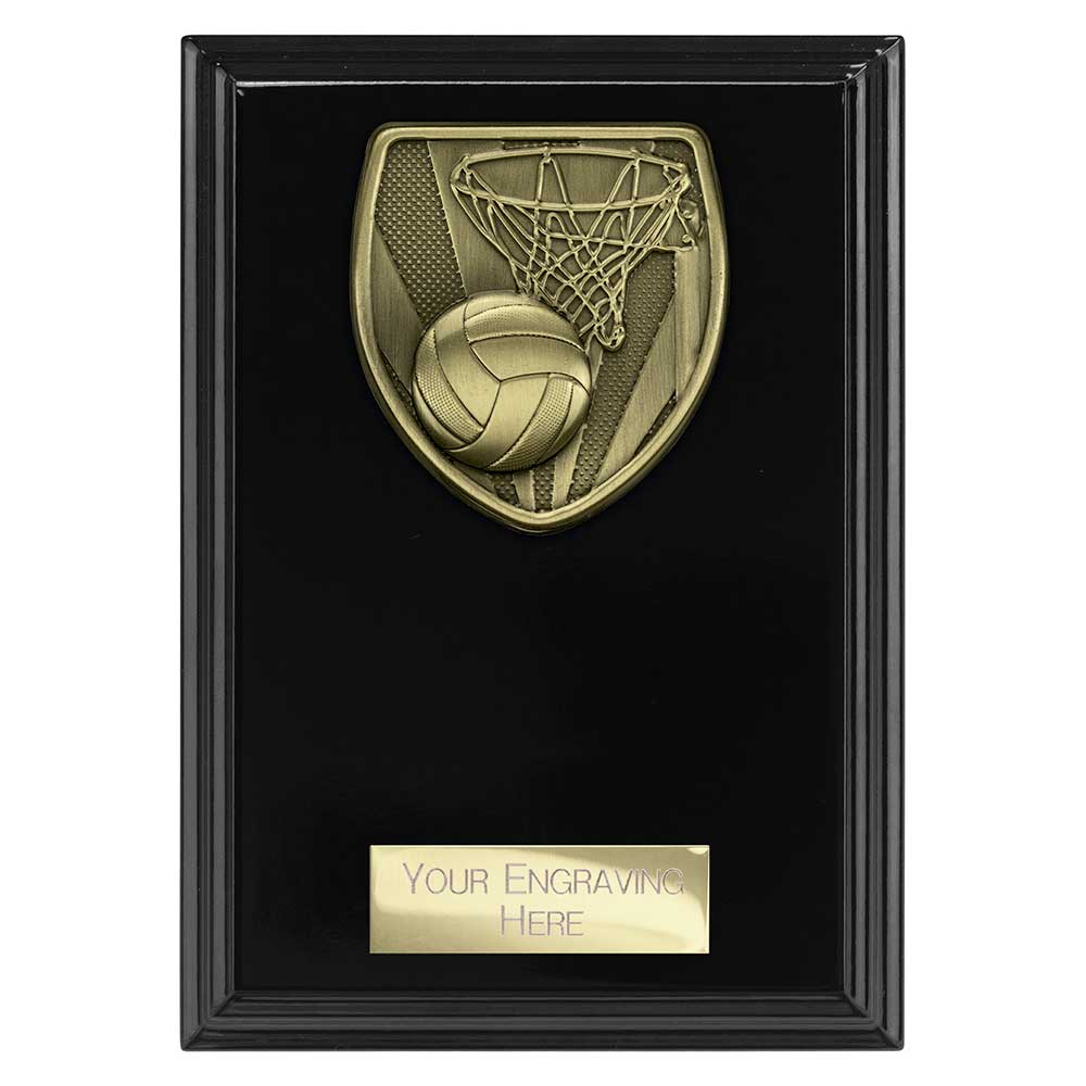 Cobra Plaque Netball Award - 150mm