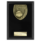 Cobra Plaque Netball Award - 150mm