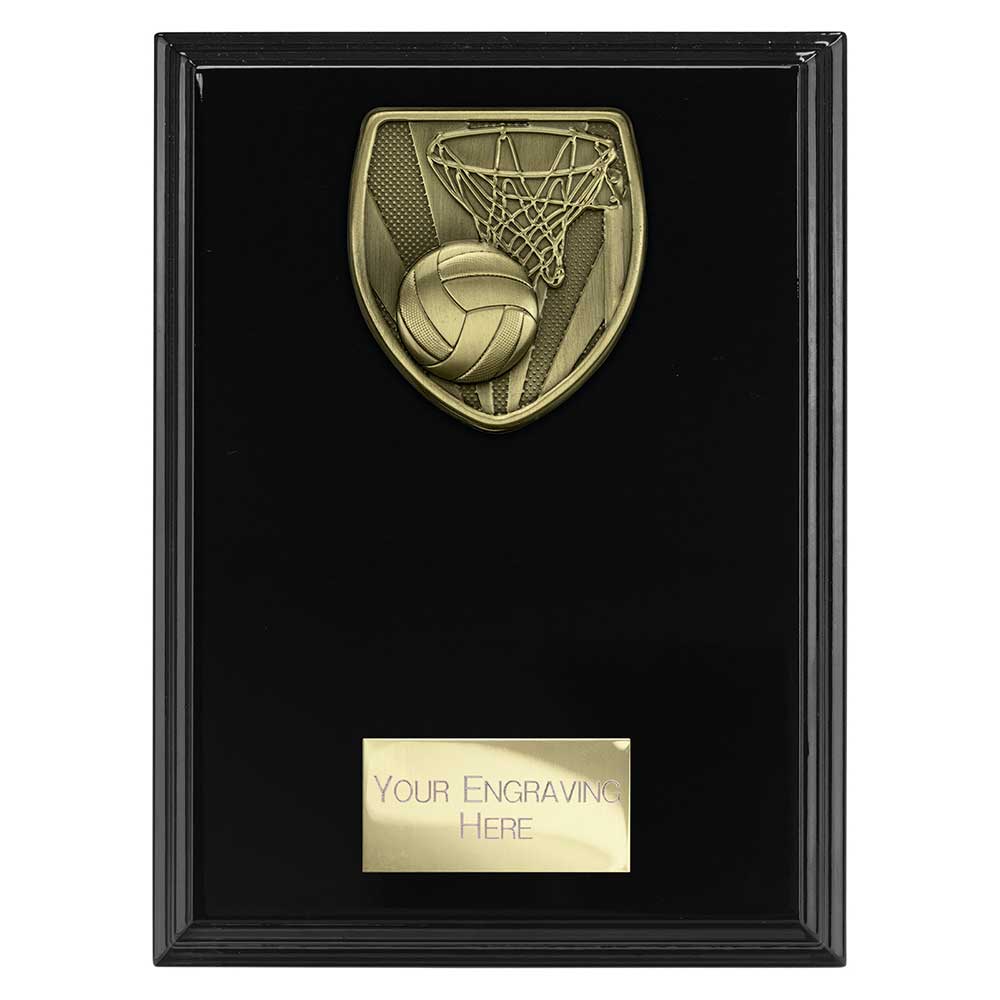 Cobra Plaque Netball Award - 175mm