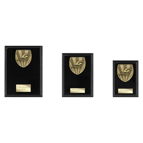 Cobra Plaque Swimming Award