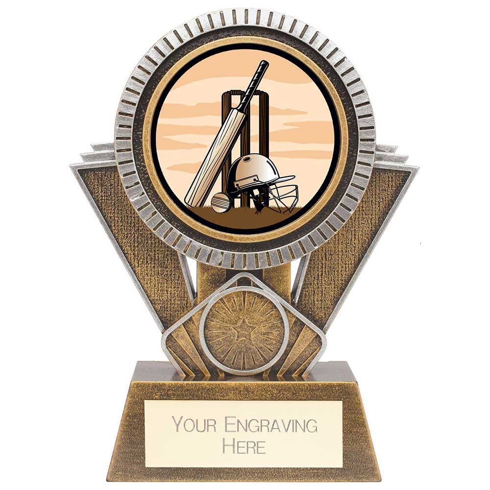 Apex Cricket Award Gold & Silver - 155mm